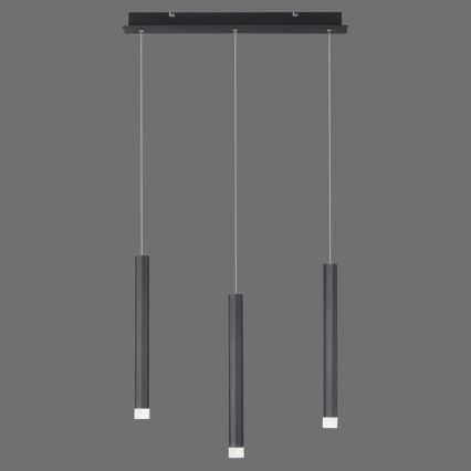 Leuchten Direkt 15203-18 - LED Pakabinamas sietynas 3xLED/4,8W/230V juodas