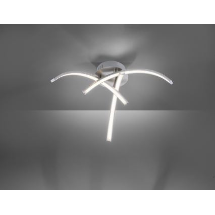 Leuchten Direkt 15341-55 - LED Ant pagrindo montuojamas sietynas VALERIE 3xLED/3,7W/230V