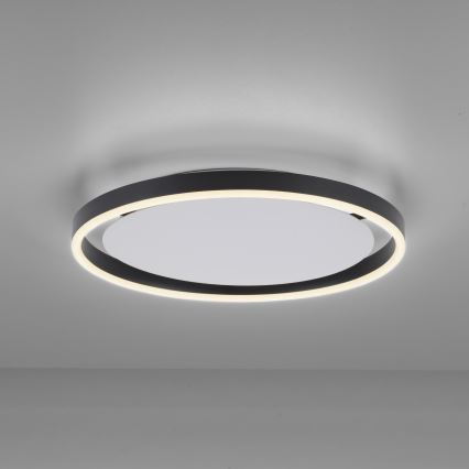 Leuchten Direkt 15391-13 - LED Reguliuojamas lubinis šviestuvas RITUS LED/20W/230V juodas