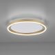 Leuchten Direkt 15391-60 - LED Reguliuojamas lubinis šviestuvas RITUS LED/20W/230V žalvaris