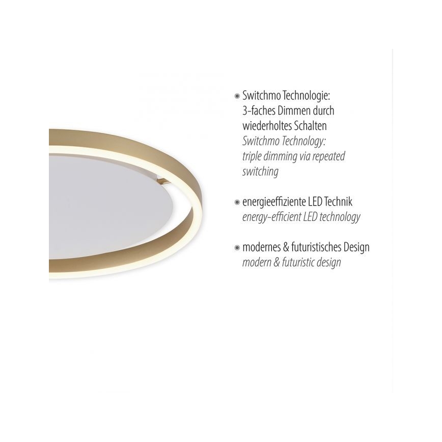 Leuchten Direkt 15391-60 - LED Reguliuojamas lubinis šviestuvas RITUS LED/20W/230V žalvaris