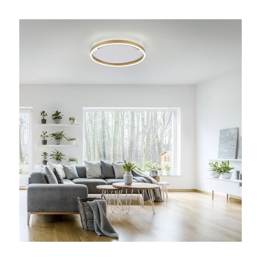 Leuchten Direkt 15392-60 - LED Reguliuojamas lubinis šviestuvas RITUS LED/30W/230V žalvaris