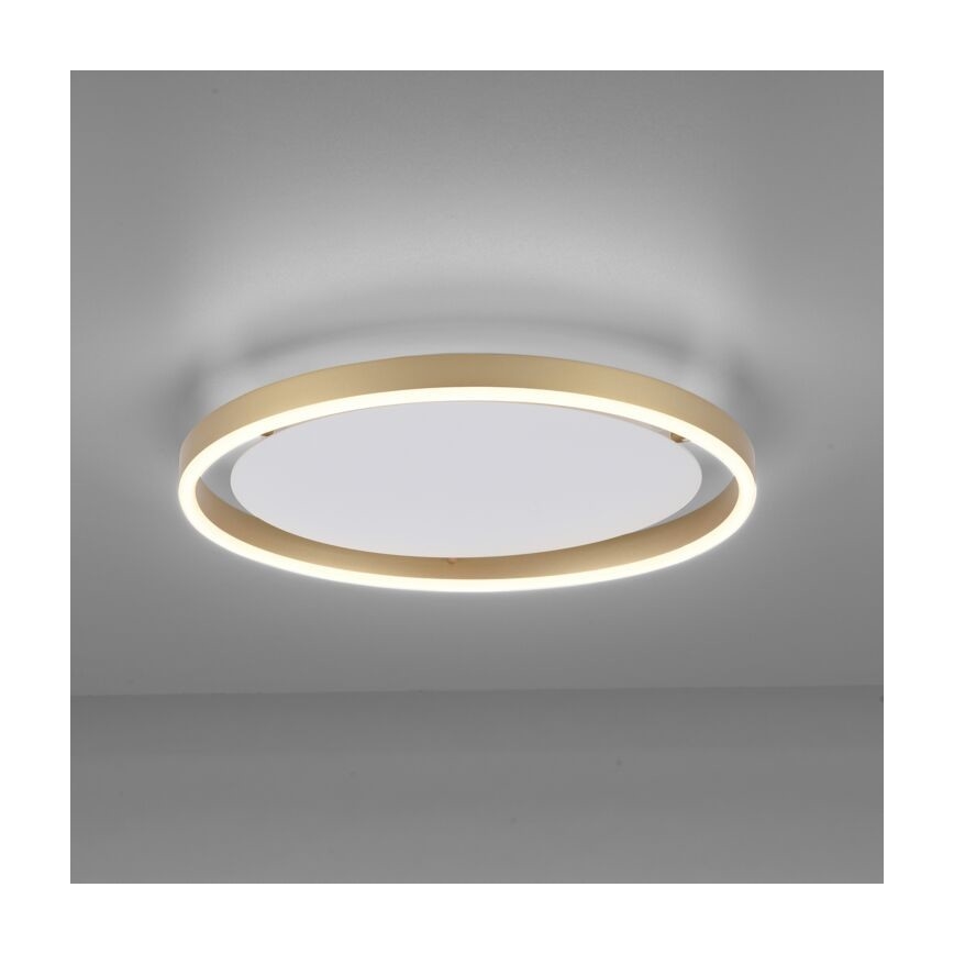 Leuchten Direkt 15392-60 - LED Reguliuojamas lubinis šviestuvas RITUS LED/30W/230V žalvaris