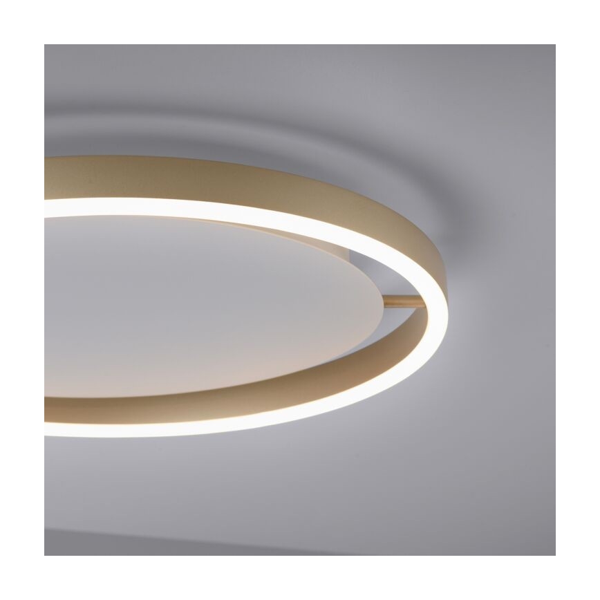 Leuchten Direkt 15392-60 - LED Reguliuojamas lubinis šviestuvas RITUS LED/30W/230V žalvaris