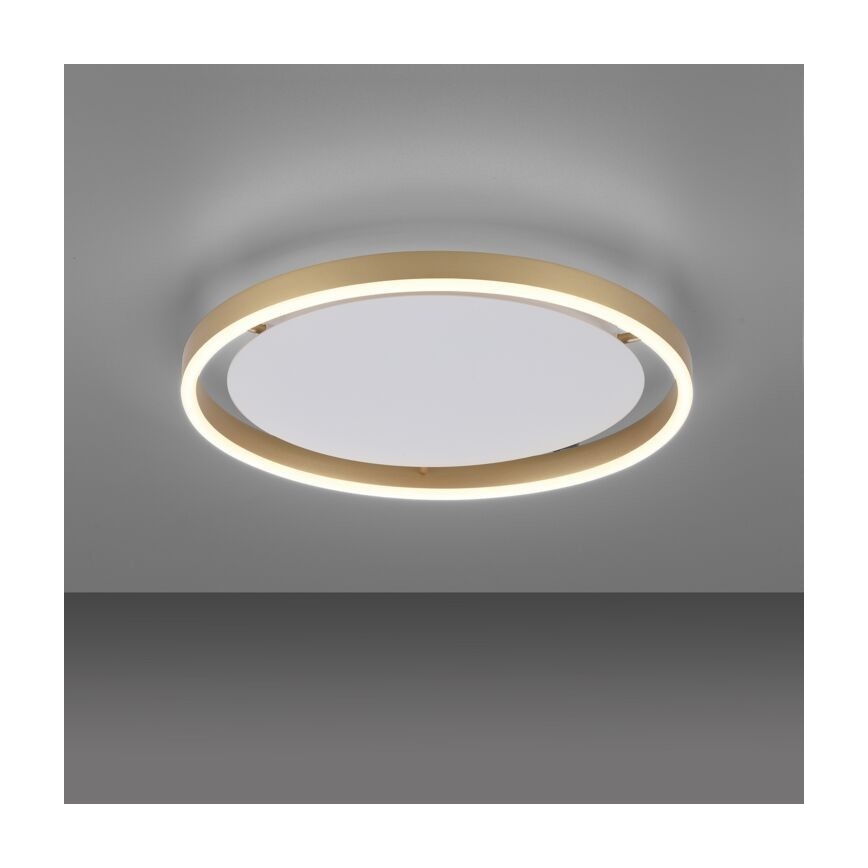 Leuchten Direkt 15392-60 - LED Reguliuojamas lubinis šviestuvas RITUS LED/30W/230V žalvaris