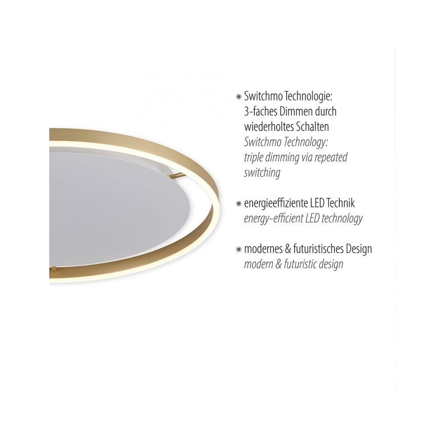 Leuchten Direkt 15392-60 - LED Reguliuojamas lubinis šviestuvas RITUS LED/30W/230V žalvaris