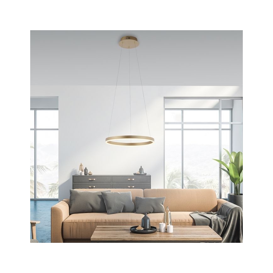 Leuchten Direkt 15393-60 - LED Reguliuojamas pakabinamas sietynas RITUS LED/20W/230V