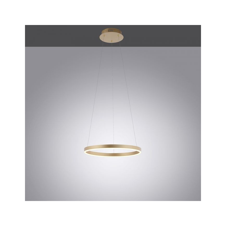 Leuchten Direkt 15393-60 - LED Reguliuojamas pakabinamas sietynas RITUS LED/20W/230V