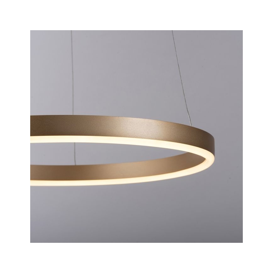 Leuchten Direkt 15393-60 - LED Reguliuojamas pakabinamas sietynas RITUS LED/20W/230V