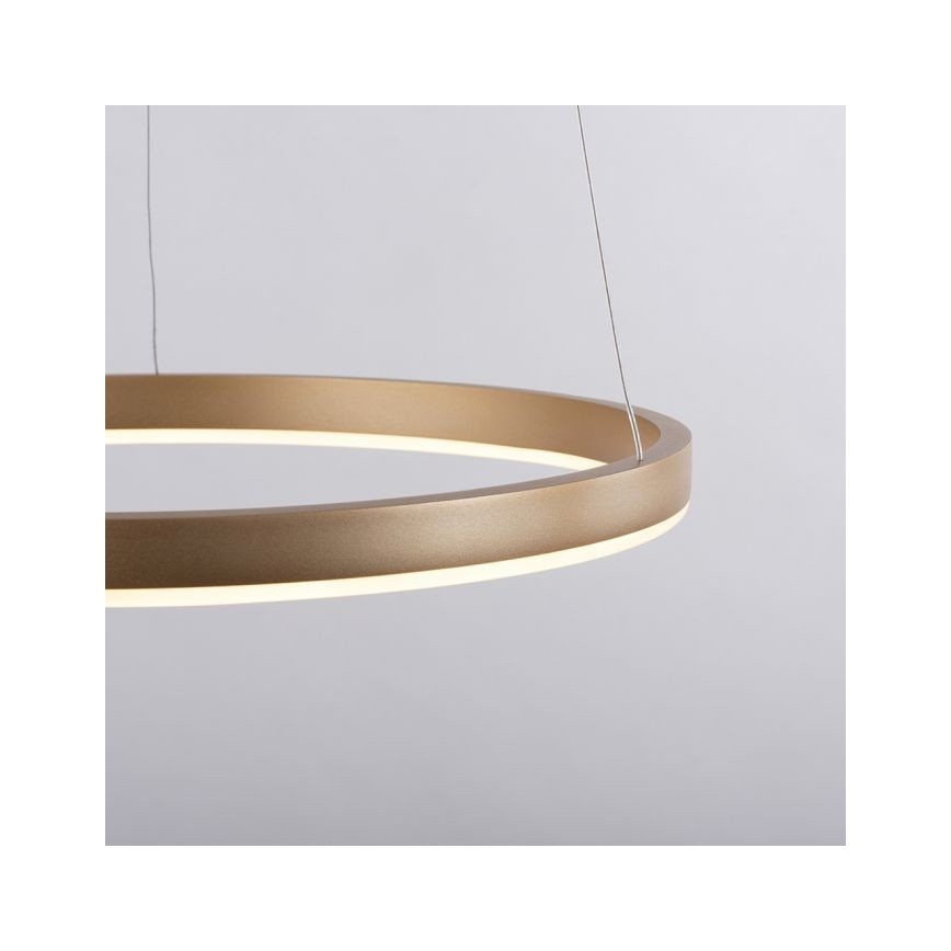 Leuchten Direkt 15393-60 - LED Reguliuojamas pakabinamas sietynas RITUS LED/20W/230V