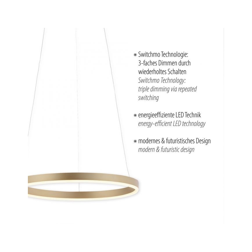 Leuchten Direkt 15393-60 - LED Reguliuojamas pakabinamas sietynas RITUS LED/20W/230V
