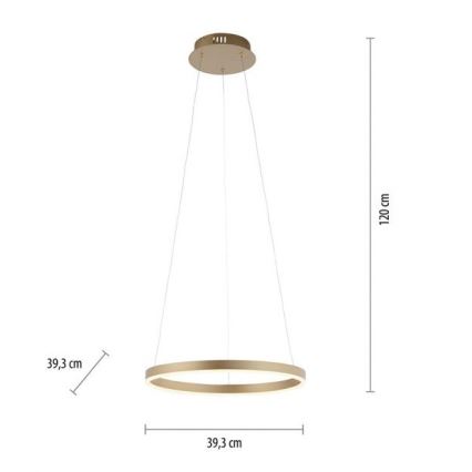 Leuchten Direkt 15393-60 - LED Reguliuojamas pakabinamas sietynas RITUS LED/20W/230V