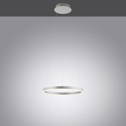 Leuchten Direkt 15393-95 - LED Reguliuojamas pakabinamas sietynas RITUS LED/20W/230V matinis chromas