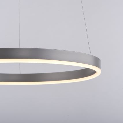 Leuchten Direkt 15393-95 - LED Reguliuojamas pakabinamas sietynas RITUS LED/20W/230V matinis chromas