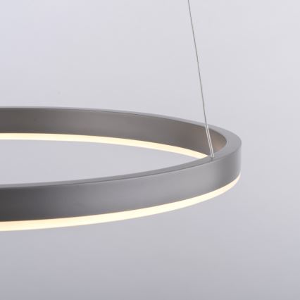 Leuchten Direkt 15393-95 - LED Reguliuojamas pakabinamas sietynas RITUS LED/20W/230V matinis chromas