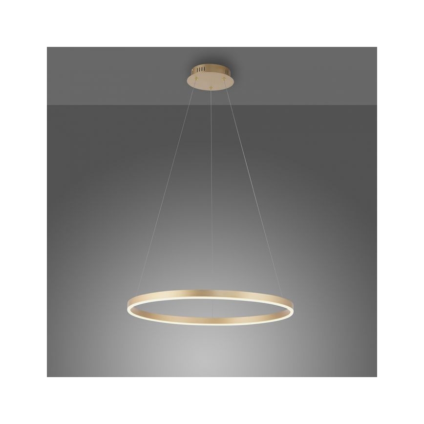 Leuchten Direkt 15394-60 - LED Reguliuojamas pakabinamas sietynas RITUS LED/30W/230V + žalvaris