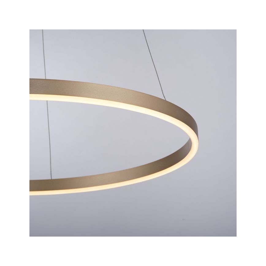 Leuchten Direkt 15394-60 - LED Reguliuojamas pakabinamas sietynas RITUS LED/30W/230V + žalvaris