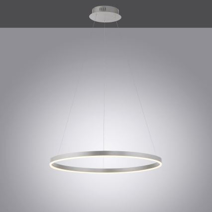 Leuchten Direkt 15394-95 - LED Reguliuojamas pakabinamas sietynas RITUS LED/30W/230V matinis chromas