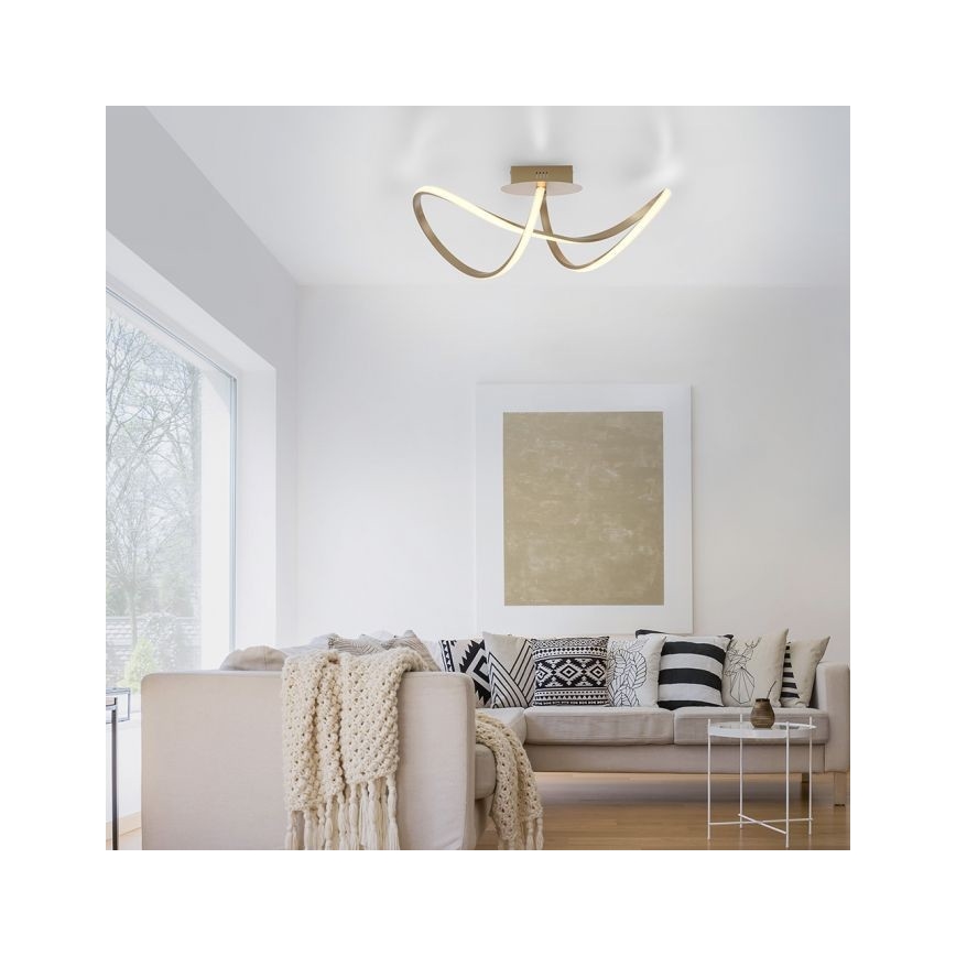 Leuchten Direkt 15403-60 - LED Reguliuojamas ant pagrindo montuojamas sietynas MARIA LED/15,5W/230V