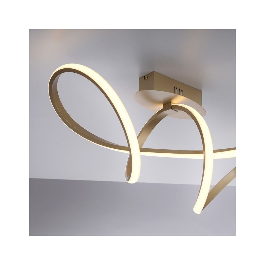 Leuchten Direkt 15403-60 - LED Reguliuojamas ant pagrindo montuojamas sietynas MARIA LED/15,5W/230V