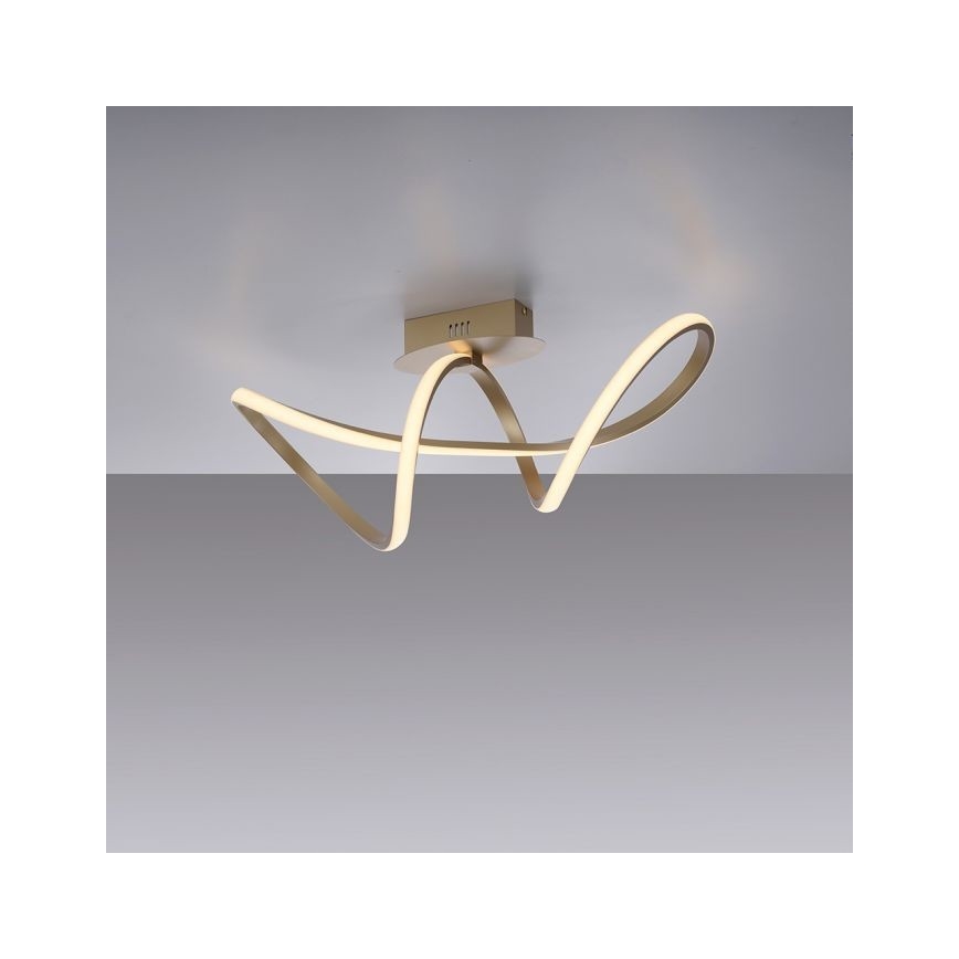 Leuchten Direkt 15403-60 - LED Reguliuojamas ant pagrindo montuojamas sietynas MARIA LED/15,5W/230V