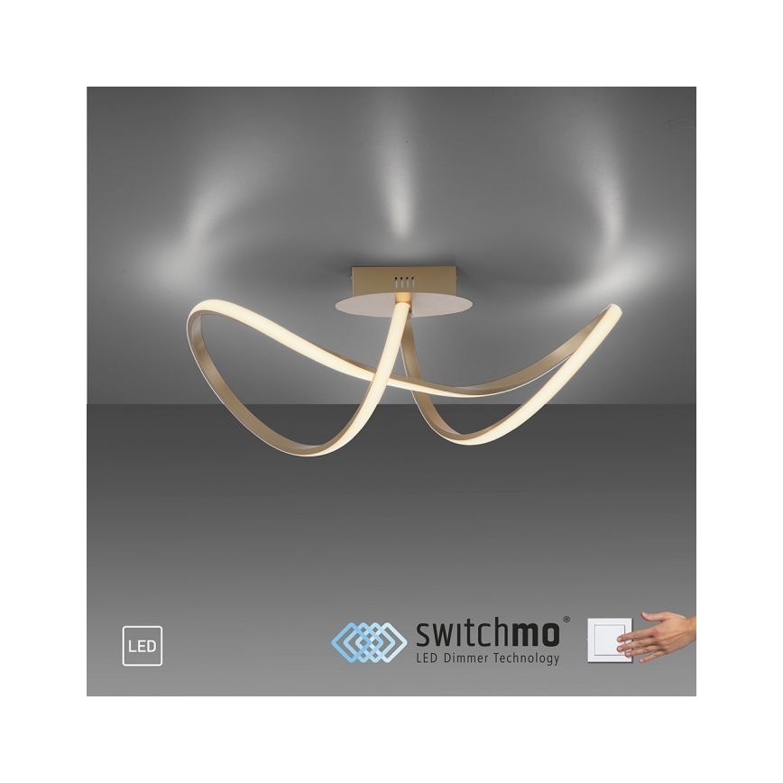 Leuchten Direkt 15403-60 - LED Reguliuojamas ant pagrindo montuojamas sietynas MARIA LED/15,5W/230V