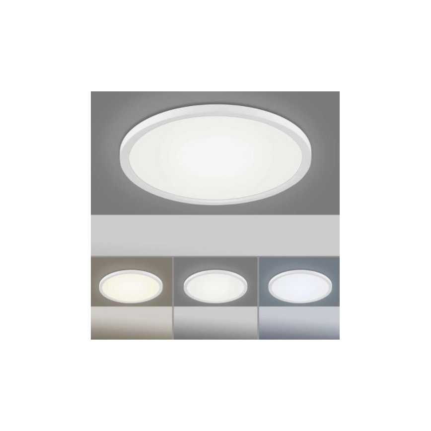 Leuchten Direkt 15571-16 - LED Reguliuojamas lubinis šviestuvas FLAT LED/23,5W/230V 2700-5000K + valdymo pultas
