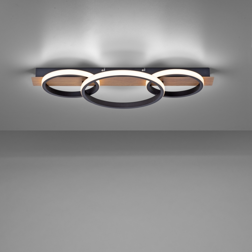 Leuchten Direkt 15616-78 - LED Lubinis šviestuvas TROOPER LED/37W/230V
