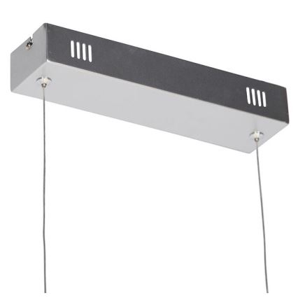 Leuchten Direkt 19033-21 - LED reguliuojamas pakabinamas šviestuvas ant laido CURLS LED/40,8W/230V