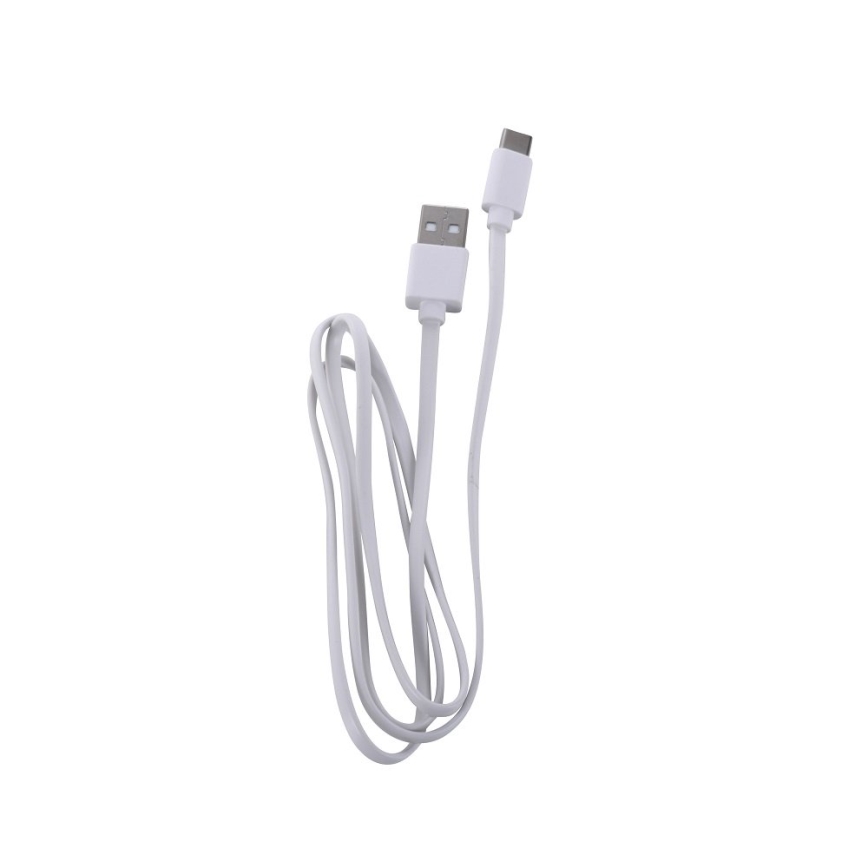 Leuchten Direkt 19250-40 - LED Pritemdoma įkraunama lauko lempa EURIA LED/3W/5V 2600 mAh IP54 pilka