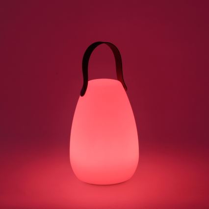 Leuchten Direkt 19879-16 - LED RGBW Lauko stalinė lempa KENO LED/0,6W/5V 1500 mAh IP44