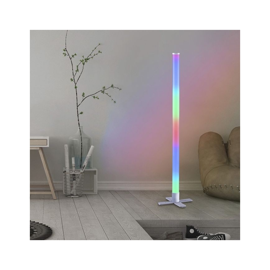 Leuchten Direkt 19902-21 - LED RGB Reguliuojama lempa RINGO LED/10W/230V+VP