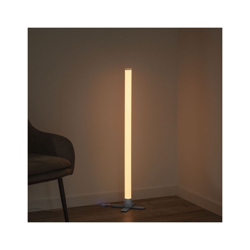 Leuchten Direkt 19902-21 - LED RGB Reguliuojama lempa RINGO LED/10W/230V+VP