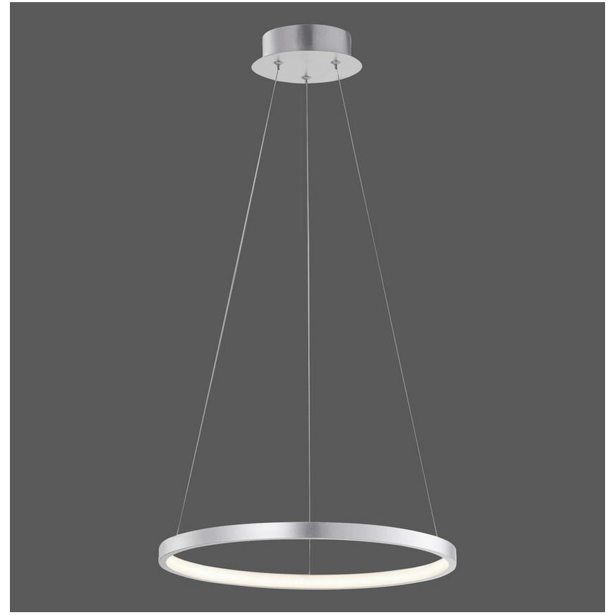Leuchten Direkt L16270-21 - LED RGB Reguliuojamas pakabinamas sietynas CIRCLE LED/25W/230V + valdymo pultas