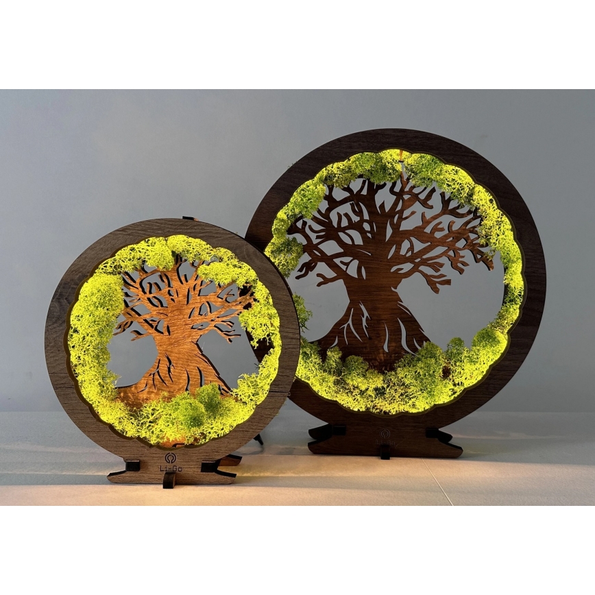 Li-Go 23604/DUB2 - reguliuojama LED stalo dekoracija LED/12W/230V 20x22 cm ąžuolas/samanos ir medis