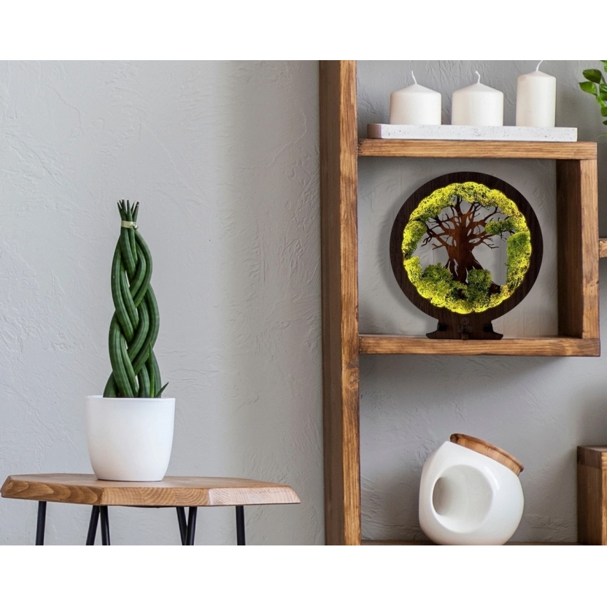 Li-Go 23604/DUB2 - Reguliuojamas LED stalinis dekoratyvinis šviestuvas LED/12W/230V 20x22 cm ąžuolas/samana ir medis