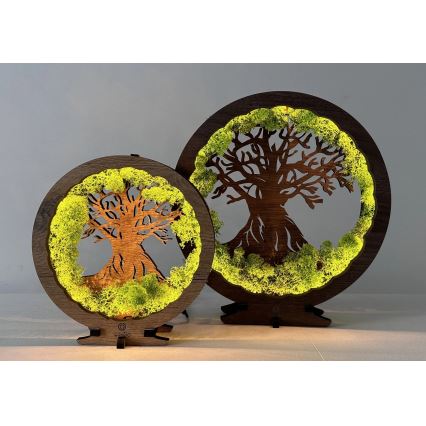 Li-Go 23604/DUB2 - Reguliuojamas LED stalinis dekoratyvinis šviestuvas LED/12W/230V 20x22 cm ąžuolas/samana ir medis