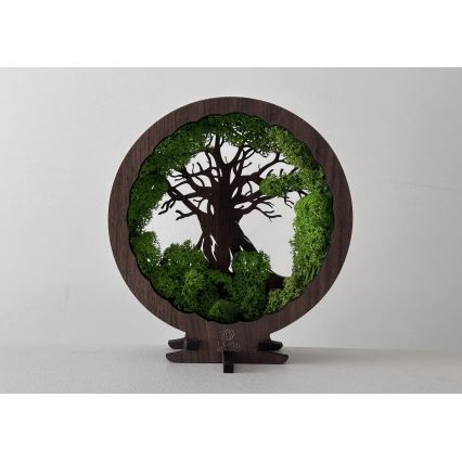 Li-Go 23604/DUB2 - Reguliuojamas LED stalinis dekoratyvinis šviestuvas LED/12W/230V 20x22 cm ąžuolas/samana ir medis