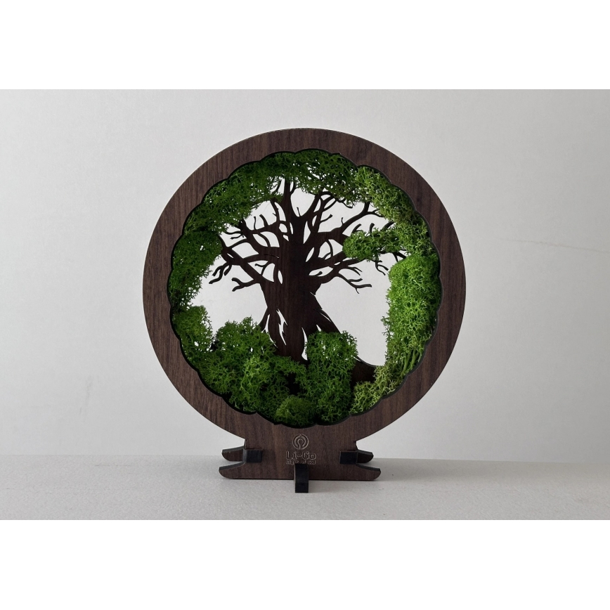 Li-Go 23604/DUB2 - Reguliuojamas LED stalinis dekoratyvinis šviestuvas LED/12W/230V 20x22 cm ąžuolas/samana ir medis