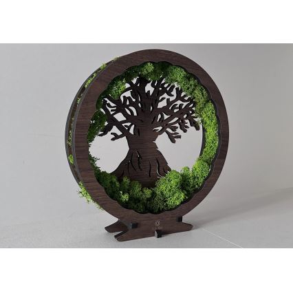 Li-Go 23604/DUB2 - Reguliuojamas LED stalinis dekoratyvinis šviestuvas LED/12W/230V 20x22 cm ąžuolas/samana ir medis