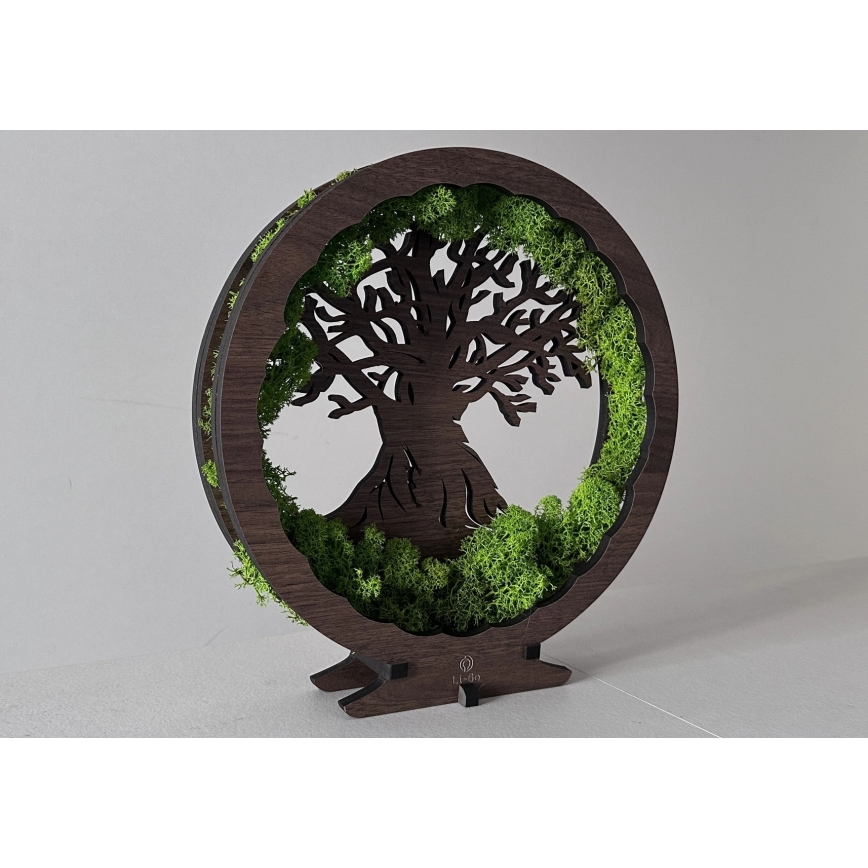 Li-Go 23604/DUB2 - Reguliuojamas LED stalinis dekoratyvinis šviestuvas LED/12W/230V 20x22 cm ąžuolas/samana ir medis