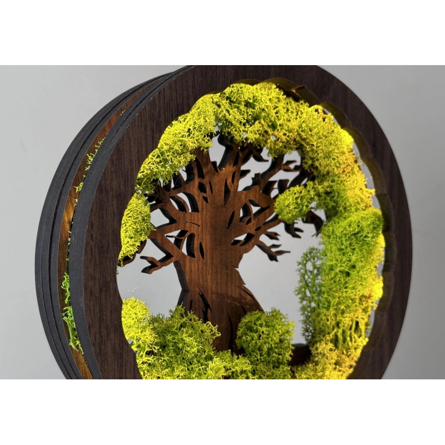 Li-Go 23604/DUB2 - Reguliuojamas LED stalinis dekoratyvinis šviestuvas LED/12W/230V 20x22 cm ąžuolas/samana ir medis