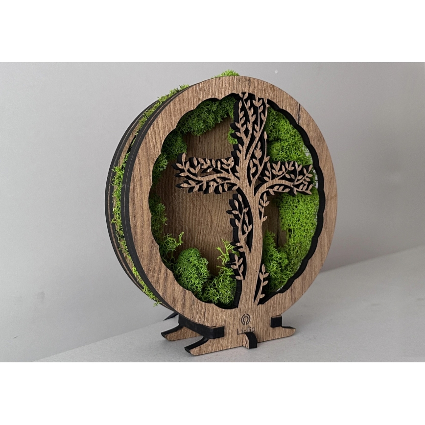 Li-Go 23622/DUB2 - LED reguliuojama stalinė dekoracija LED/12W/230V 20x22 cm ąžuolas/Kryžius samanose