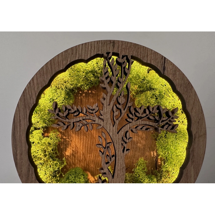 Li-Go 23622/DUB2 - LED reguliuojama stalinė dekoracija LED/12W/230V 20x22 cm ąžuolas/Kryžius samanose