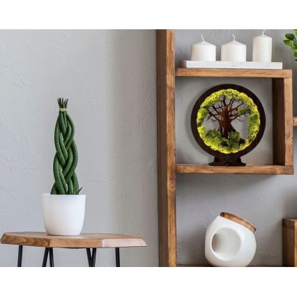 Li-Go 23631/DUB2 - reguliuojamas stalinis LED dekoratyvinis šviestuvas LED/12W/230V 30x31 cm ąžuolas/samana ir medis