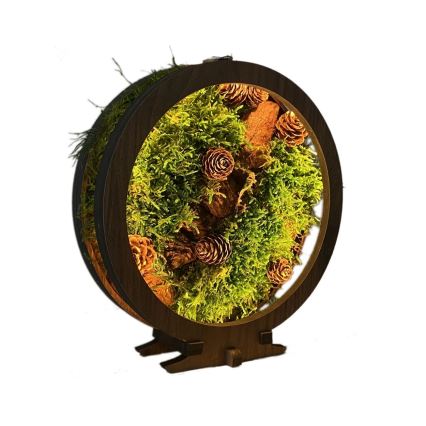 Li-Go 23654 - LED reguliuojama stalinė dekoracija LED/12W/230V 20x22 cm riešutas/samanų natiurmortas