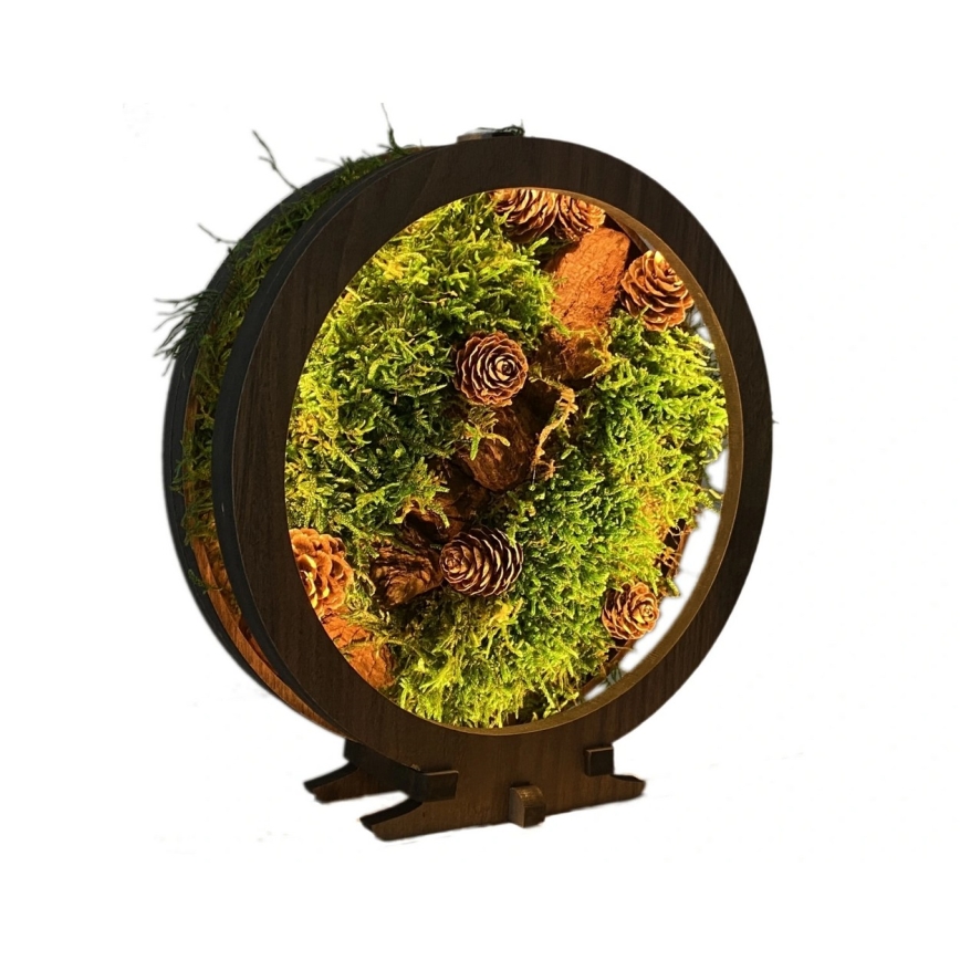 Li-Go 23654 - dimeriuojama LED stalo dekoracija LED/12W/230V 20x22 cm riešutas/samanų dekoras