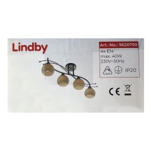 Lindby - Akcentinis šviestuvas LEANDA 4xE14/40W/230V