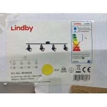 Lindby - Akcentinis šviestuvas LEONOR 4xGU10/5W/230V
