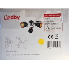 Lindby - Ant pagrindo montuojamas sietynas SINDRI 3xE14/25W/230V